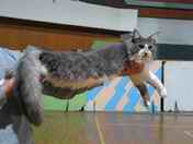 Binky na v�stav�